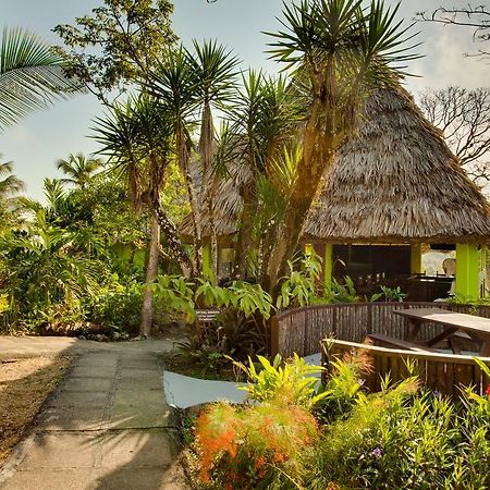 Windy Hill Resort San Ignacio Bagian luar foto