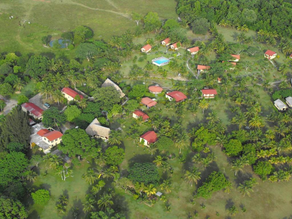 Windy Hill Resort San Ignacio Bagian luar foto