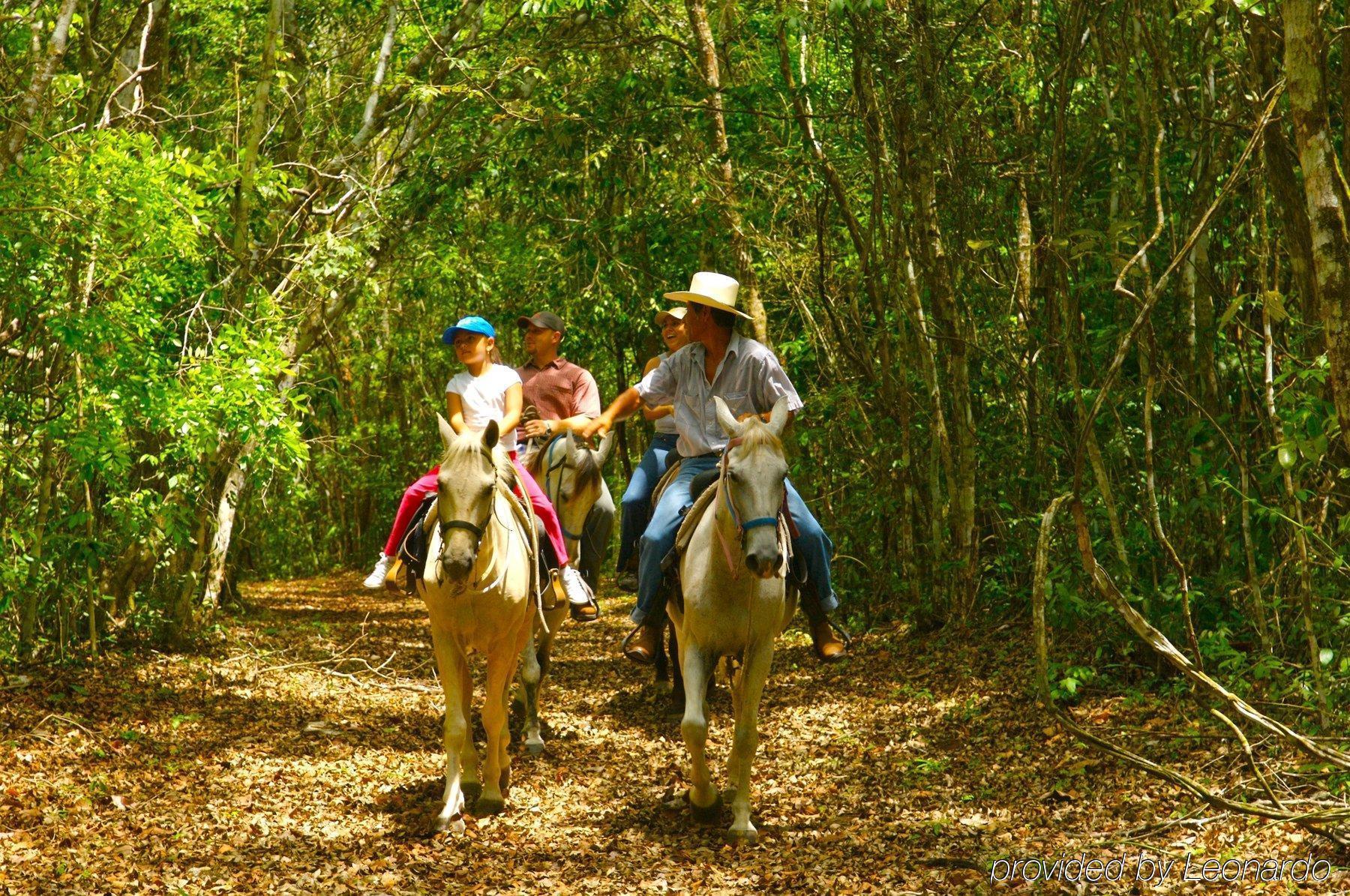 Windy Hill Resort San Ignacio Bagian luar foto
